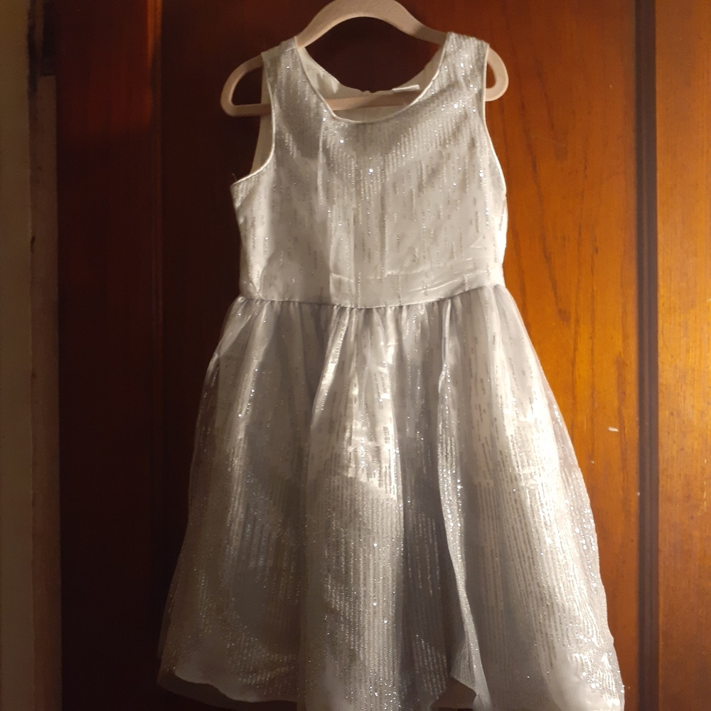 Sweet Heart Rose Shimmering Silver Kids Dress